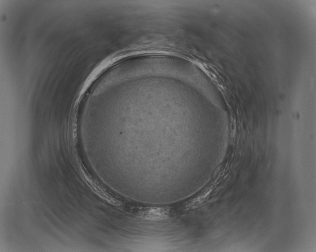 X0000083570056200702091104