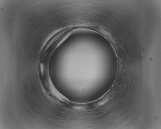 X0000083570060200702091104