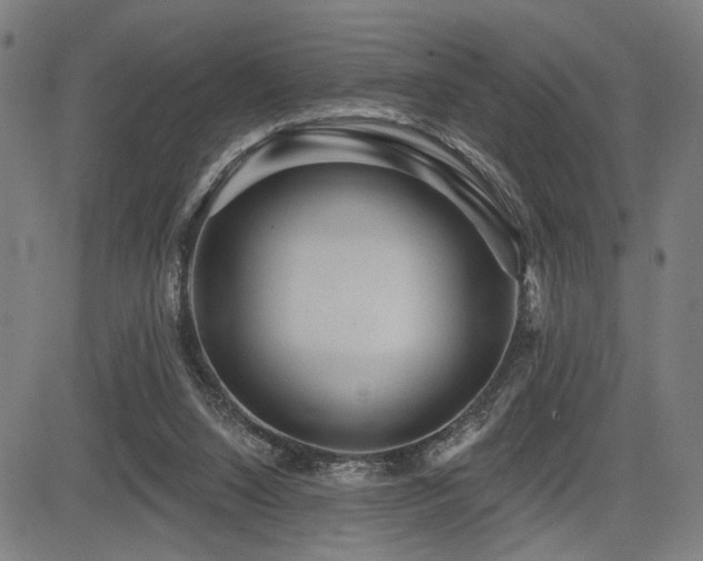 X0000083570064200702091104