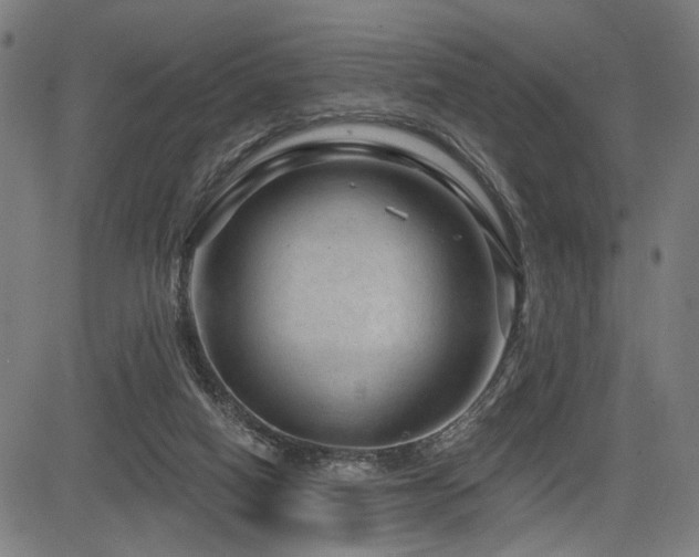 X0000083570066200702091104