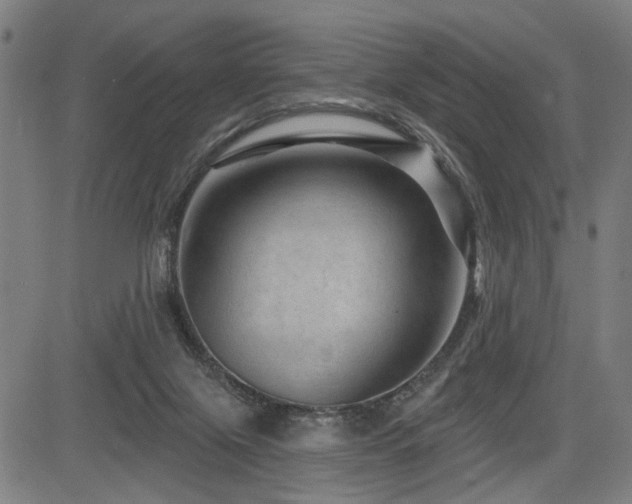 X0000083570071200702091104