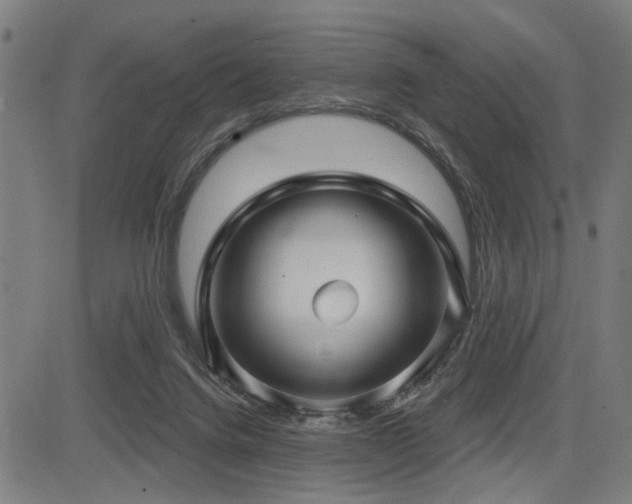 X0000083570072200702091104