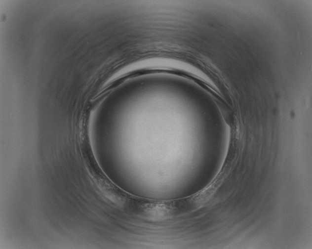 X0000083570074200702091104