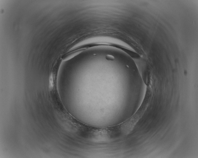 X0000083570075200702091104