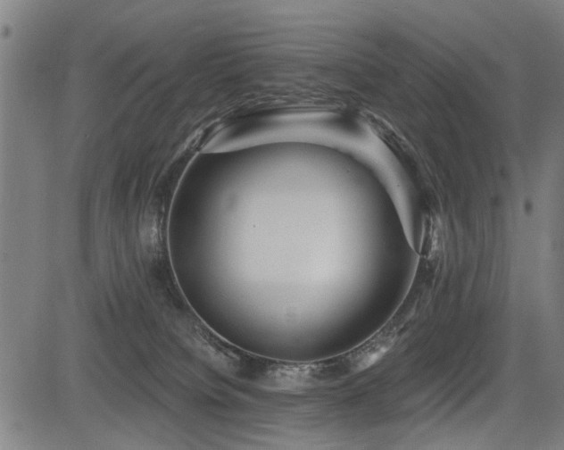 X0000083570084200702091104