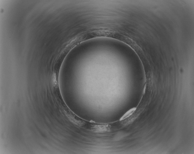 X0000083570089200702091104