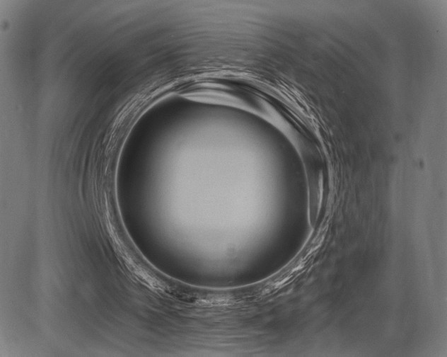 X0000083570097200702091104
