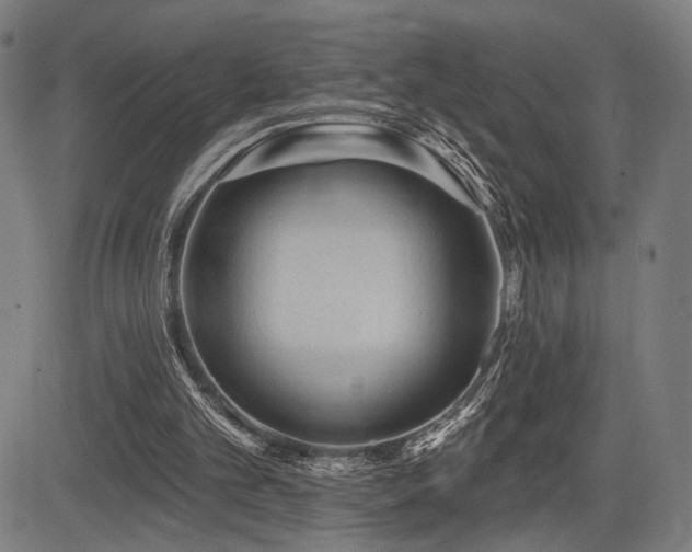 X0000083570101200702091103