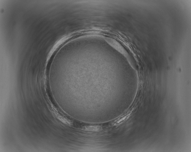 X0000083570102200702091103