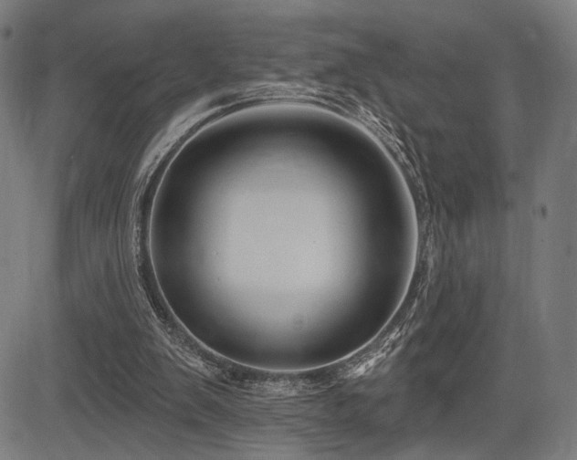 X0000083570103200702091103