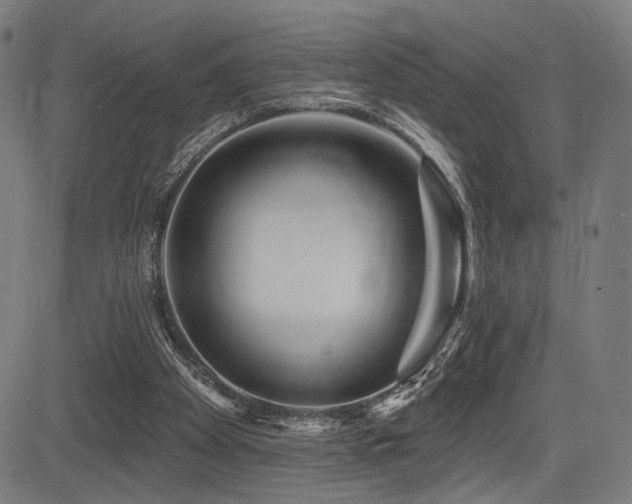 X0000083570105200702091103