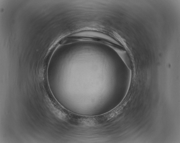 X0000083570106200702091103