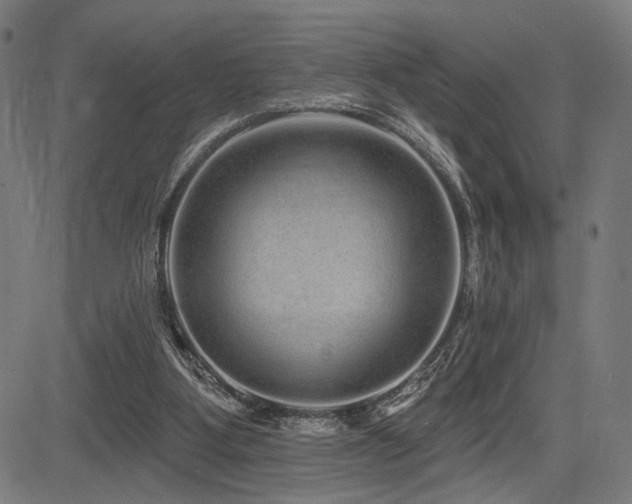X0000083570107200702091103