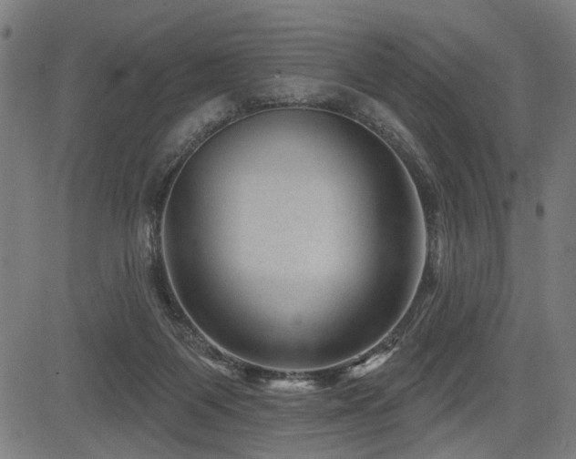 X0000083570119200702091103