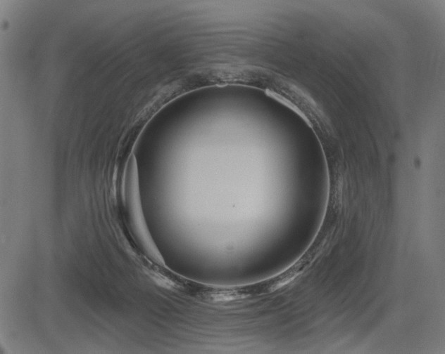 X0000083570121200702091103