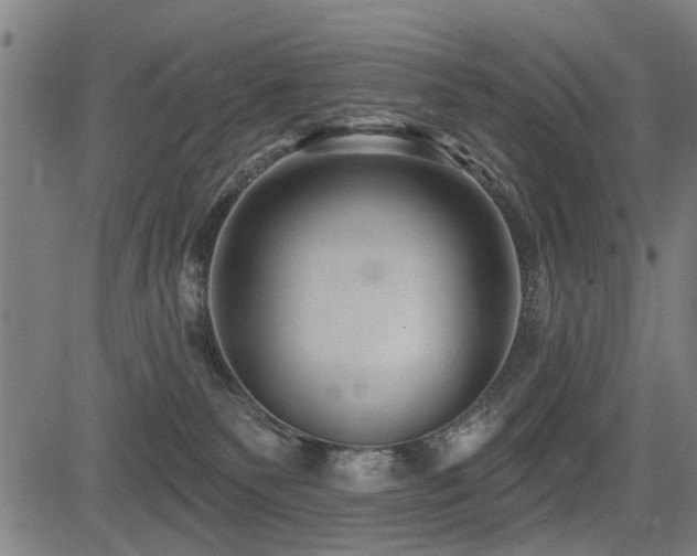 X0000083570135200702091103