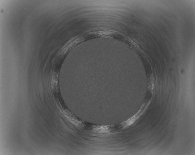 X0000083570140200702091103