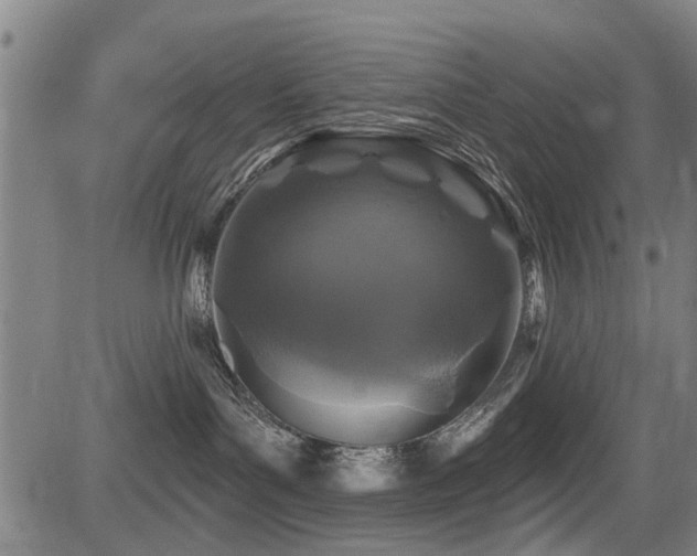 X0000083570143200702091103