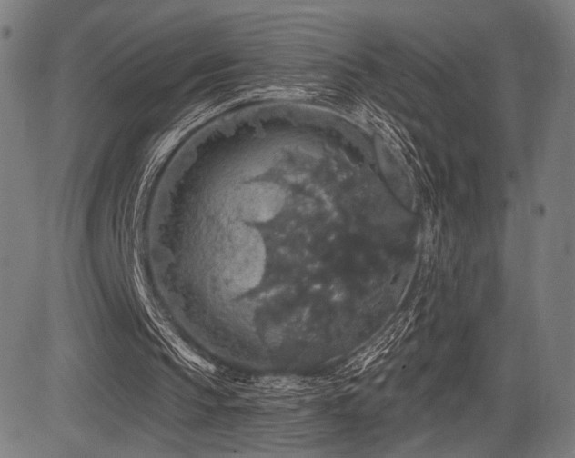X0000083570145200702091102