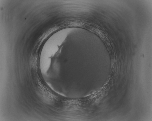 X0000083570146200702091102