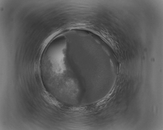 X0000083570147200702091102