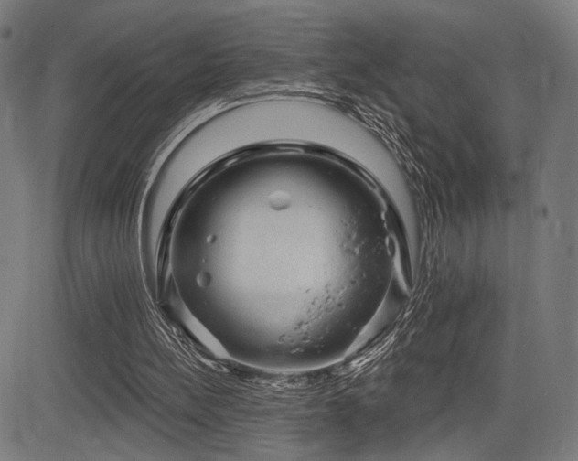X0000083570148200702091102