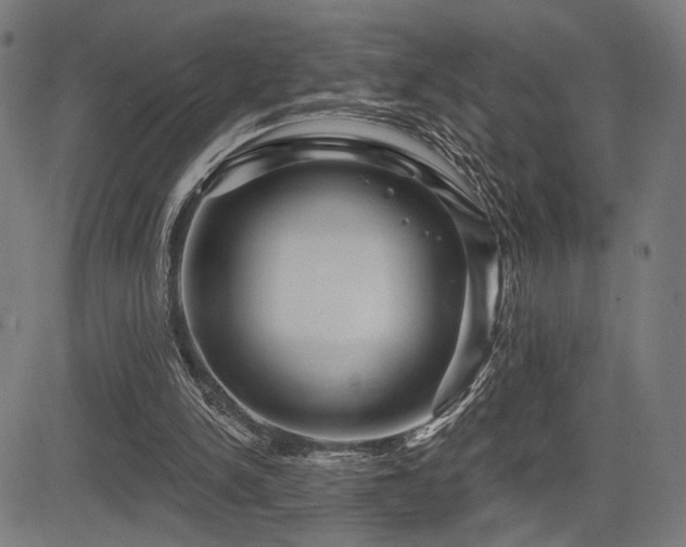 X0000083570150200702091102