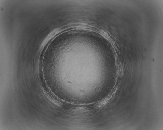 X0000083570151200702091102