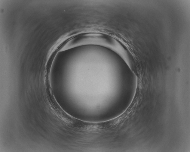 X0000083570152200702091102