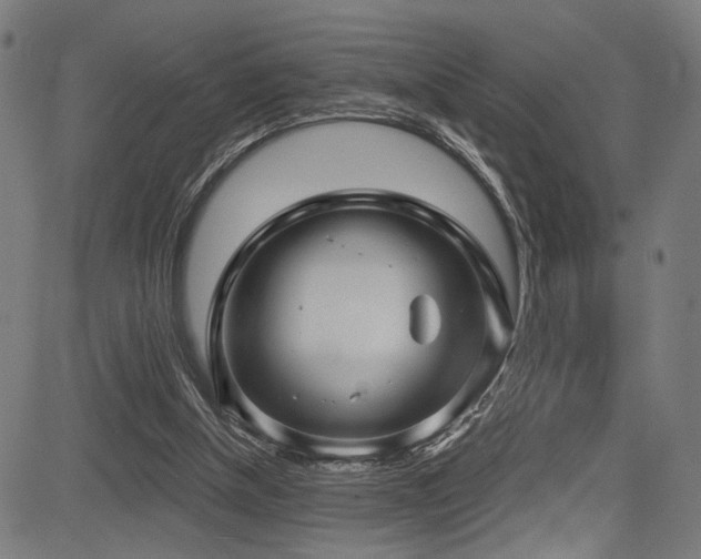 X0000083570154200702091102