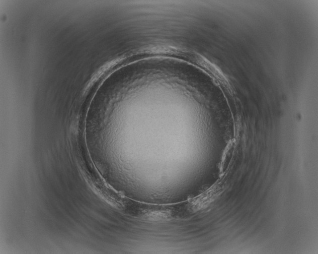 X0000083570155200702091102