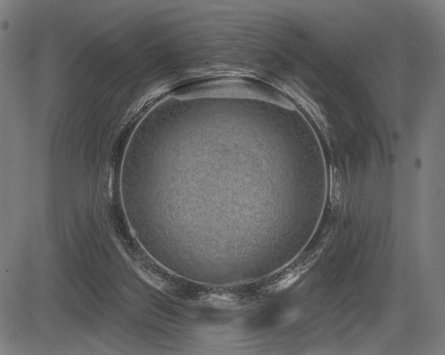 X0000083570157200702091102