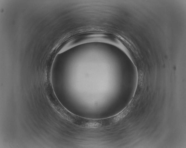 X0000083570158200702091102