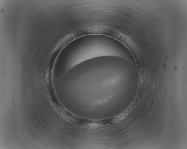 X0000083570163200702091102