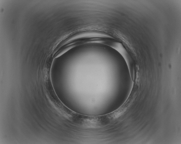 X0000083570164200702091102