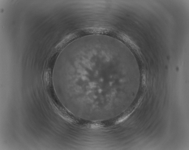 X0000083570165200702091102