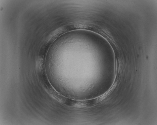 X0000083570171200702091102
