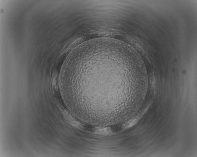 X0000083570185200702091103