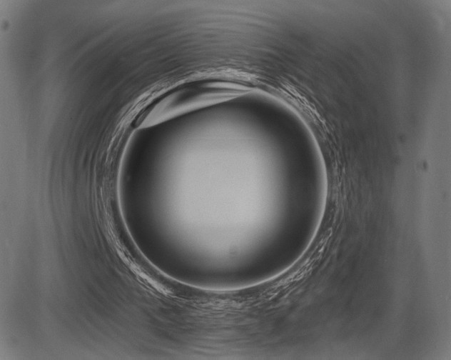 X0000083570193200702091102