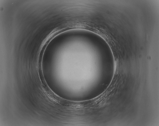 X0000083570195200702091102