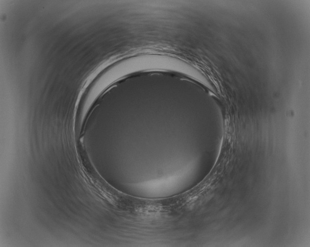 X0000083570196200702091102