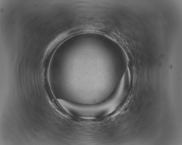 X0000083570197200702091102
