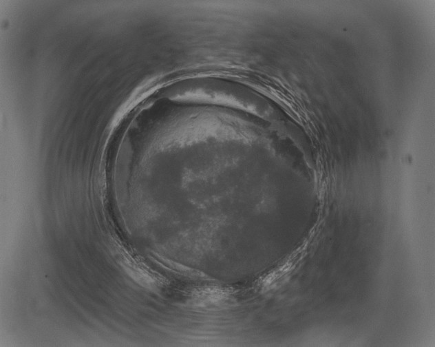 X0000083570198200702091102