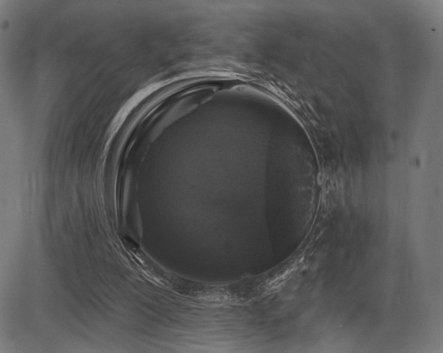 X0000083570200200702091102