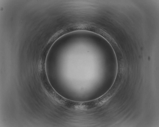 X0000083570216200702091101