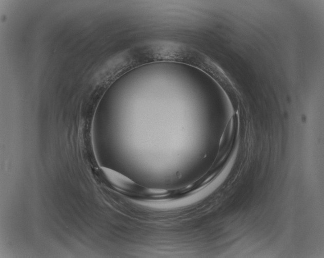 X0000083570217200702091101