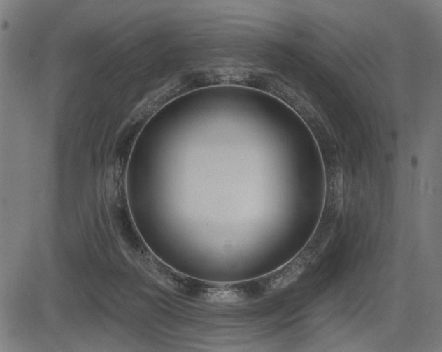 X0000083570218200702091101