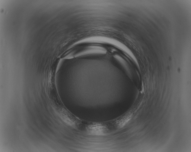 X0000083570219200702091101