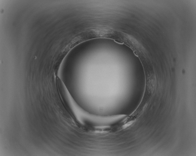 X0000083570221200702091101