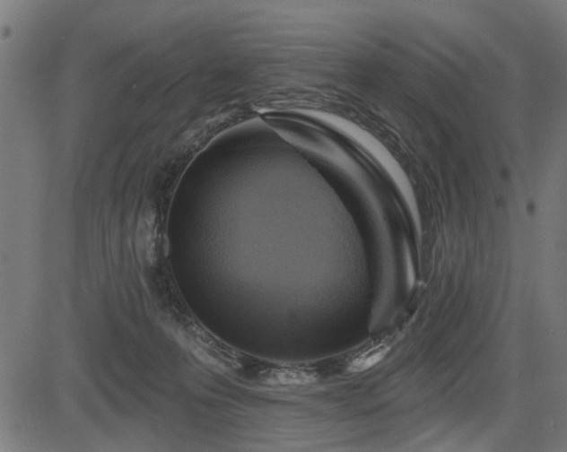 X0000083570223200702091101